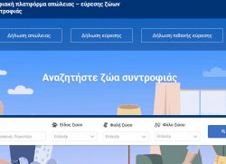 Screenshot 2025-03-11 200211 Screenshot 2025-03-11 200211